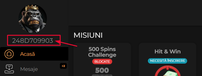 Nume de utilizator 1.png